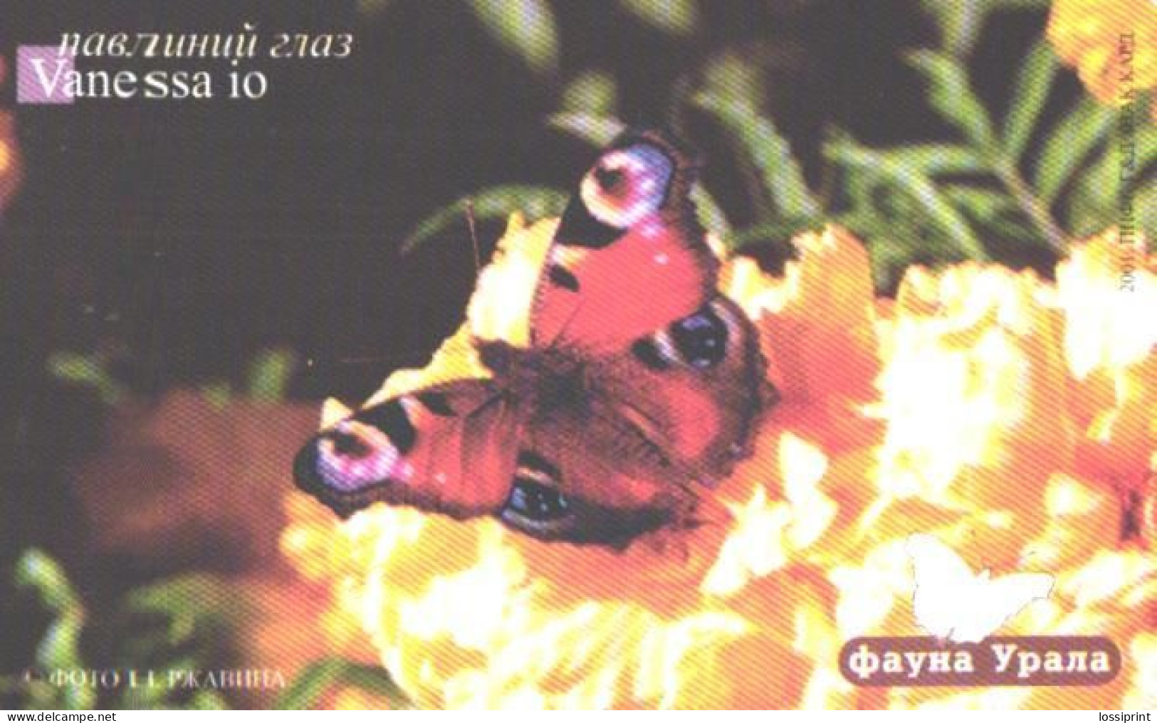 Russia:Used Phonecard, Uraltelekom Sverdlovsk Region, 150 Units, Ural Fauna, Butterfly, Vanessa Io, B, 2002 - Russie