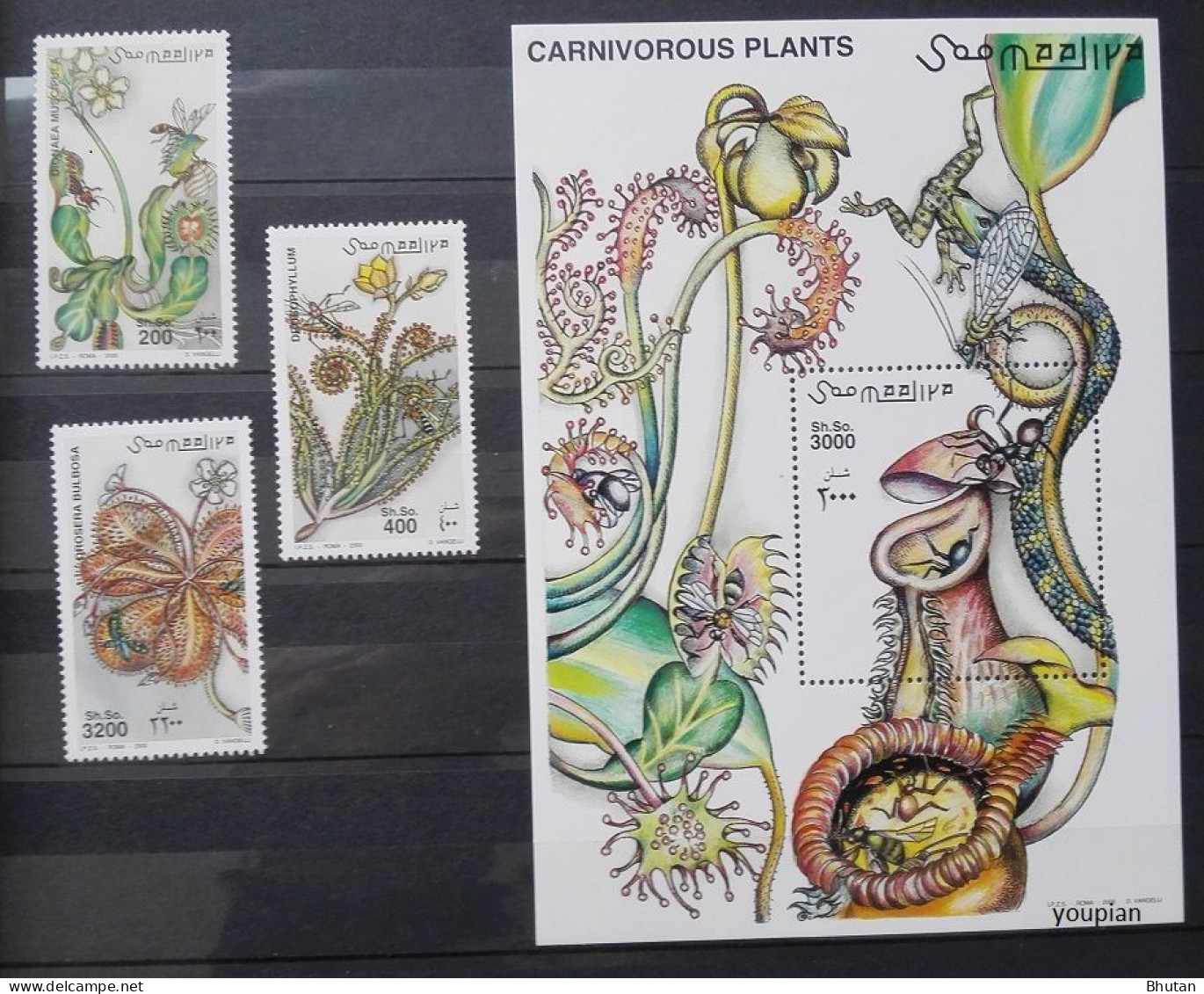 Somalia 2000, Carnivorous Plants, MNH S/S And Stamps Set - Somalia (1960-...)