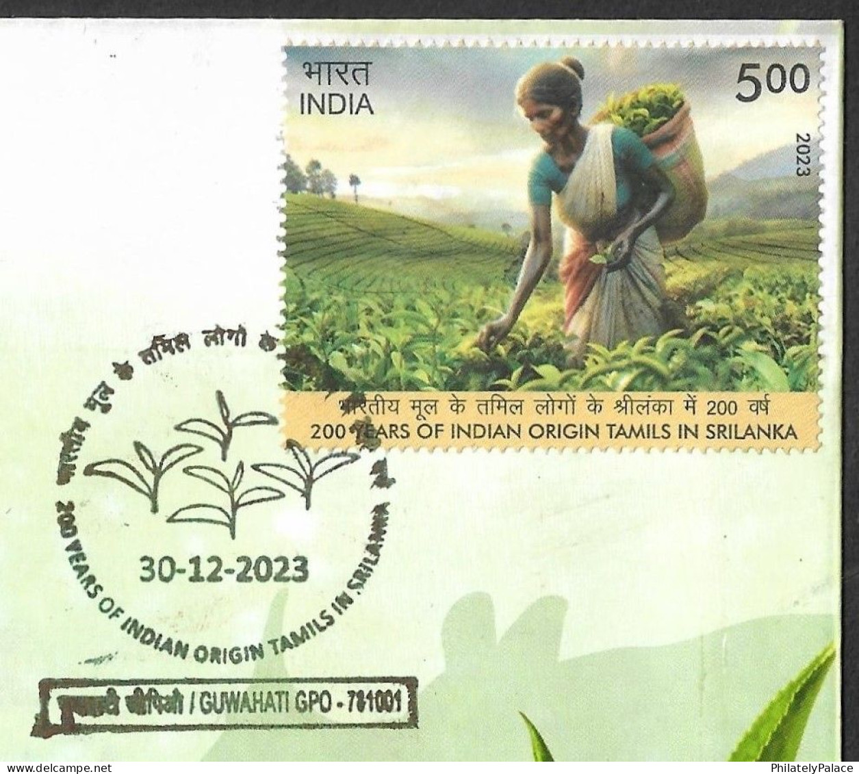 India 2021-23 Assam Tea Leaf, Sri Lanka, Tamil, Drink, Food, Woman, Special Cover (**) (**) Inde Indien - Covers & Documents