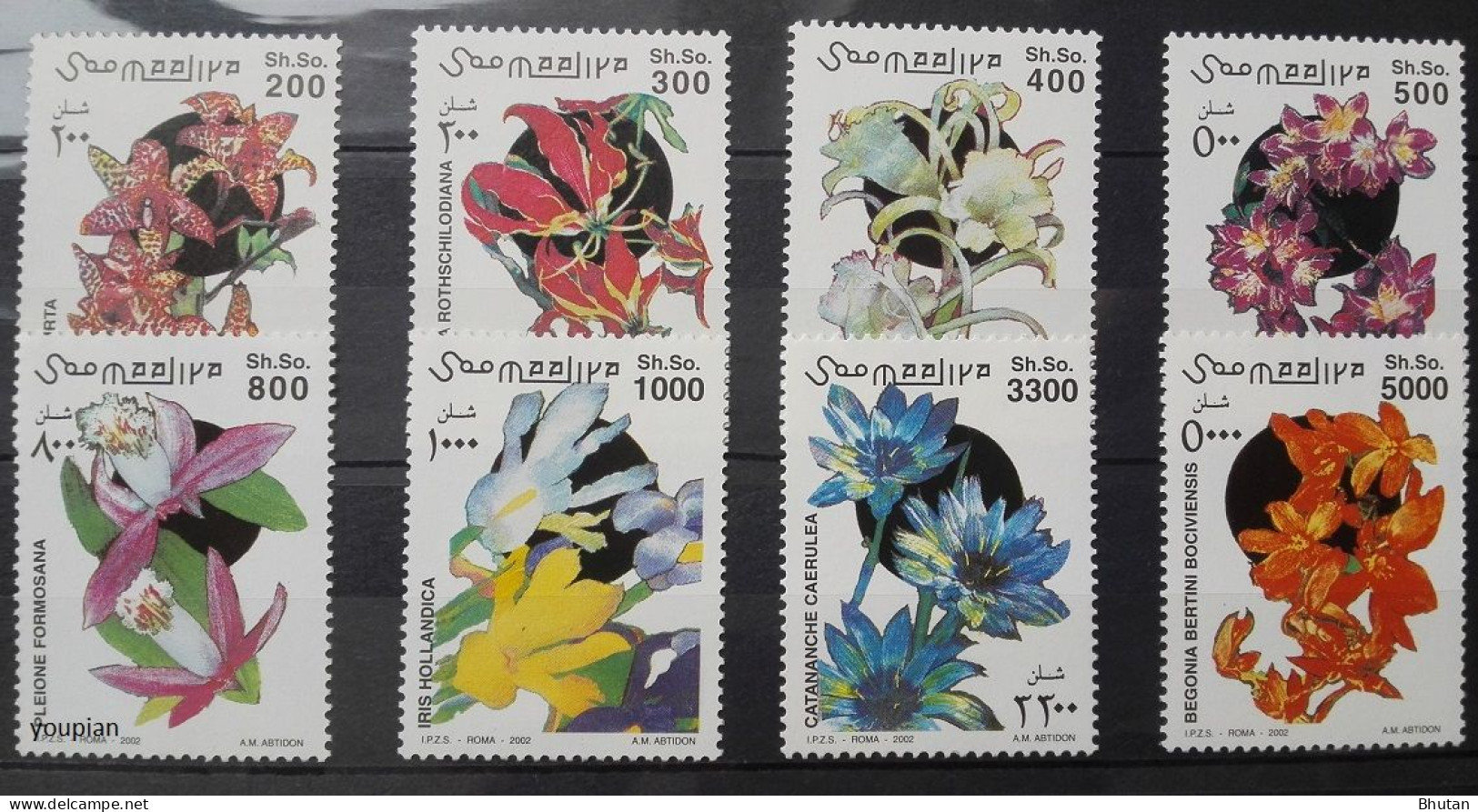 Somalia 2002, Flowers, MNH Stamps Set - Somalia (1960-...)