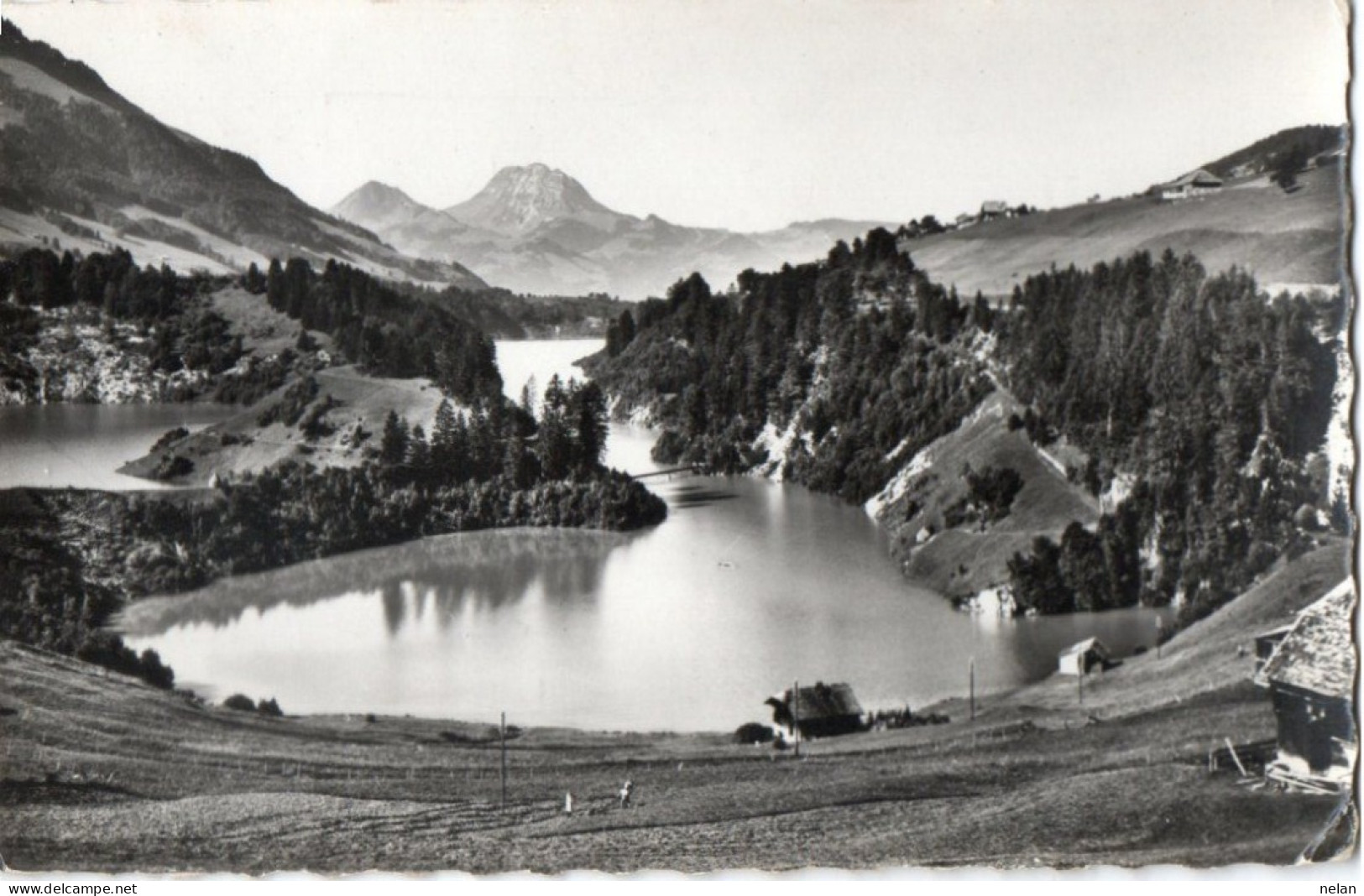 LAC DE MONTSALVENS ET LE MOLESON - F.P. - Châtel-sur-Montsalvens