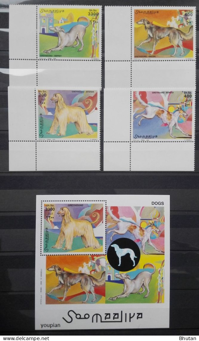 Somalia 2003, Dogs, MNH S/S And Stamps Set - Somalia (1960-...)