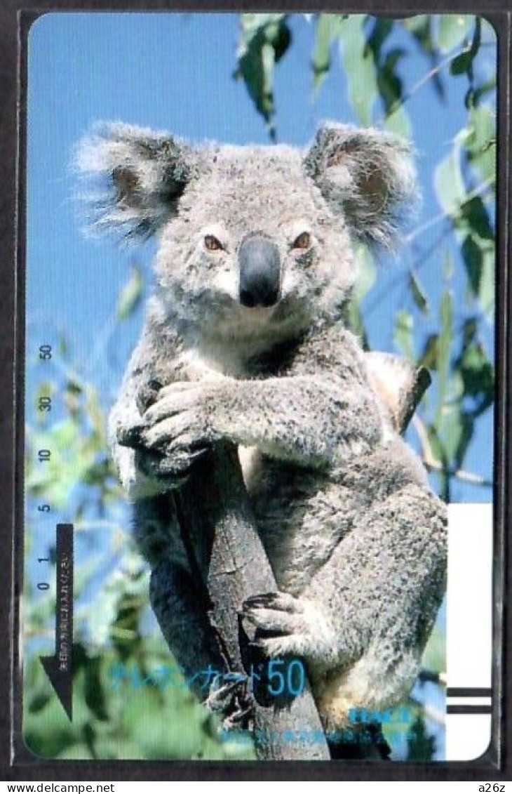 Japan 1V Koala Advertising New Mint Card - Oerwoud