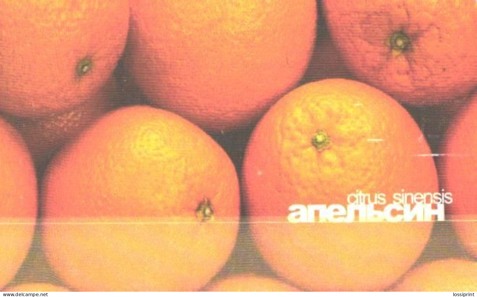 Russia:Used Phonecard, Uraltelekom, 75 Units, Oranges, Citrus Sinensis, 2003 - Russie