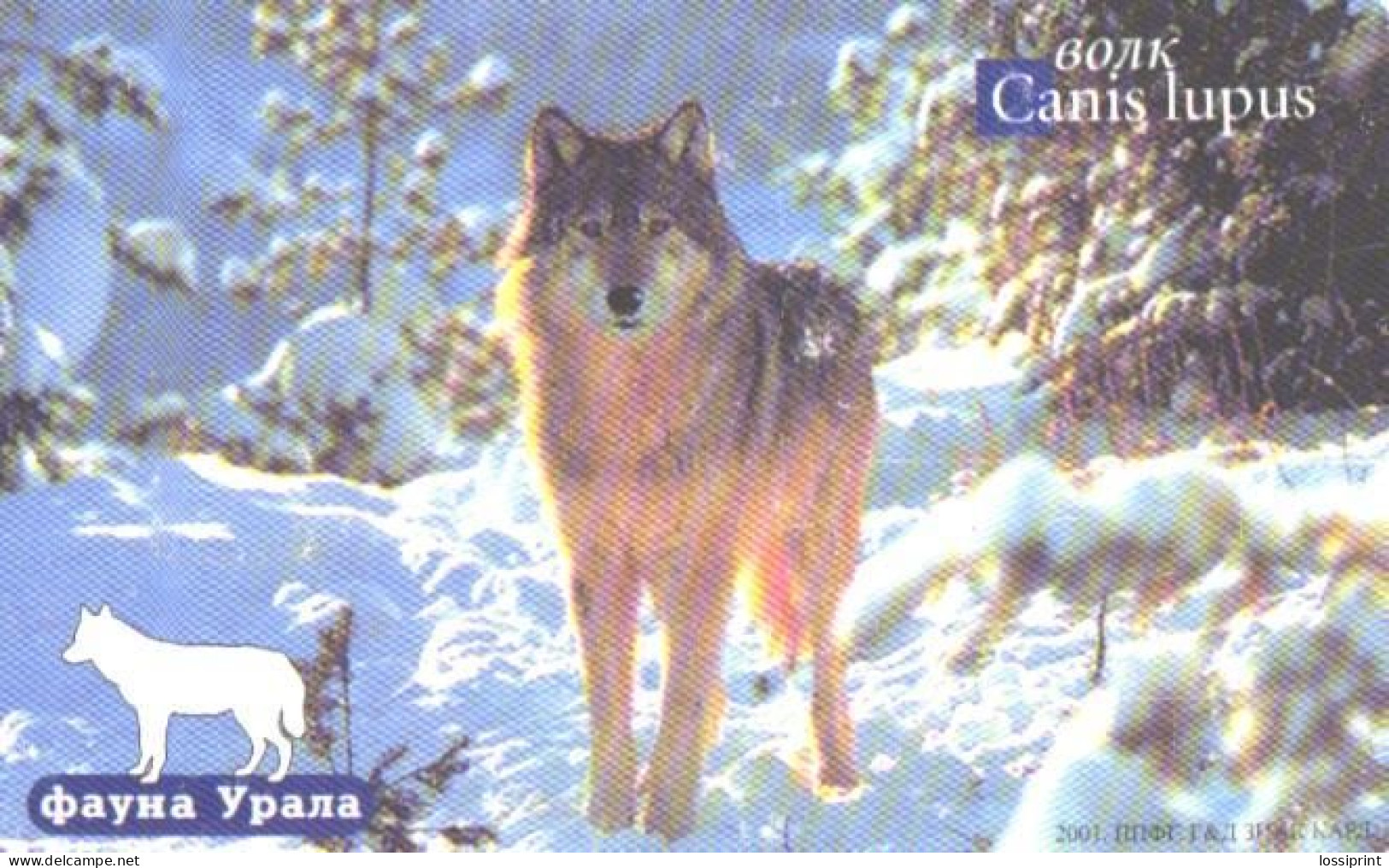 Russia:Used Phonecard, Jekaterinburg International Telefon Station, 150 Units, Ural Fauna, Wolf, Canis Lupus, 2002 - Russie