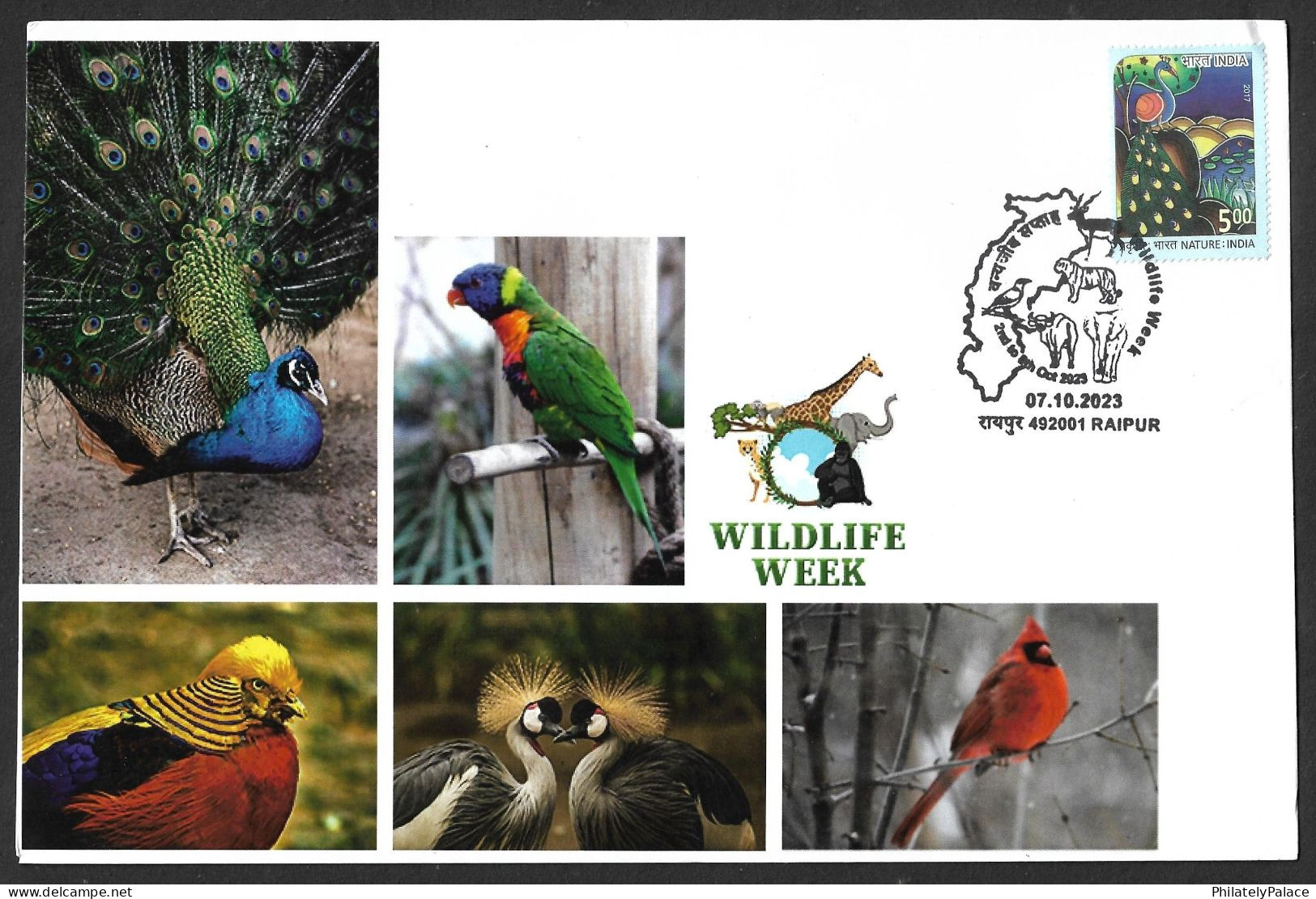 India 2023 Wildlife Week,Elephant,Tiger,Bird,Parrot, Peacock,Song,Pheasant,Antelope, Cover (**) Inde Indien - Covers & Documents
