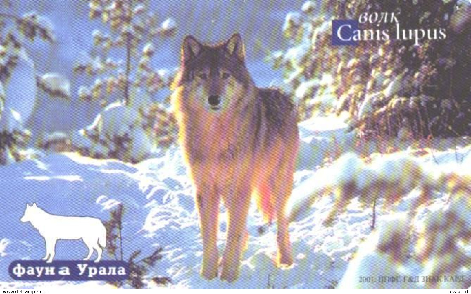 Russia:Used Phonecard, Jekaterinburg International Telefon Station, 200 Units, Ural Fauna, Wolf, Canis Lupus, 2002 - Russia