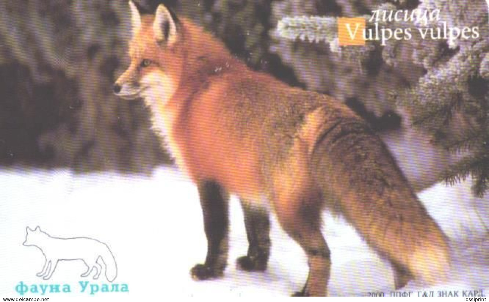 Russia:Used Phonecard, Jekaterinburg International Telefon Station, 200 Units, Ural Fauna, Fox, Vulpes Vulpes, 2001 - Russia