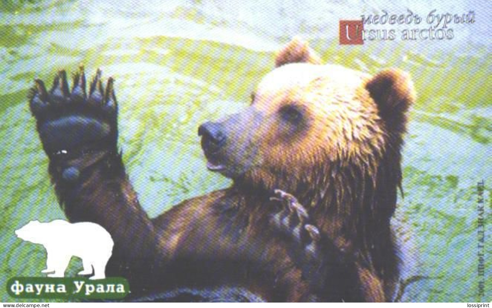 Russia:Used Phonecard, Jekaterinburg International Telefon Station, 100 Units,Ural Fauna, Bear, Ursus Arctos, 2002 - Russie