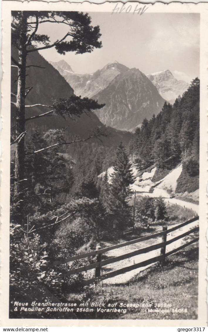 E4697) Neue BRANDNERSTRASSE Mit Blick Auf Scesaplana & Panüller Schroffen - Vorarlberg - Brandertal