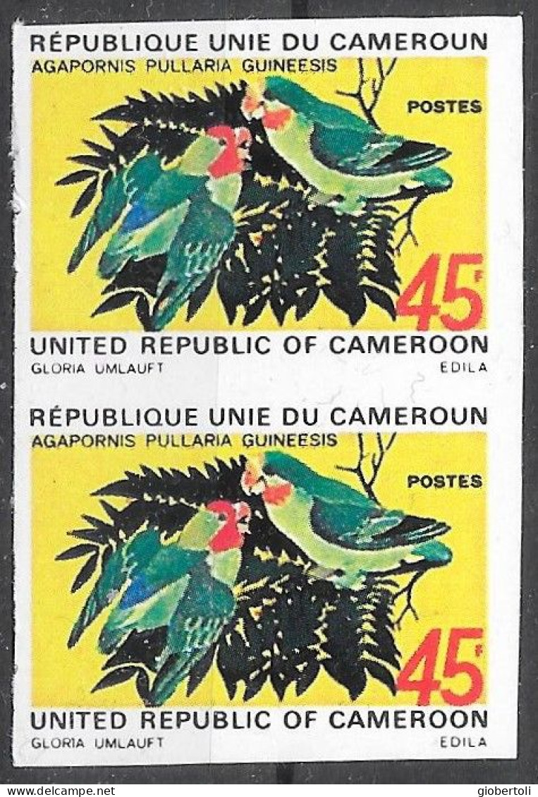 Camerun/Cameroon/Cameroun: Non Dentellato, Imperforate, Non Dentelé, Agapornis Pullaria Guineesis - Papagayos