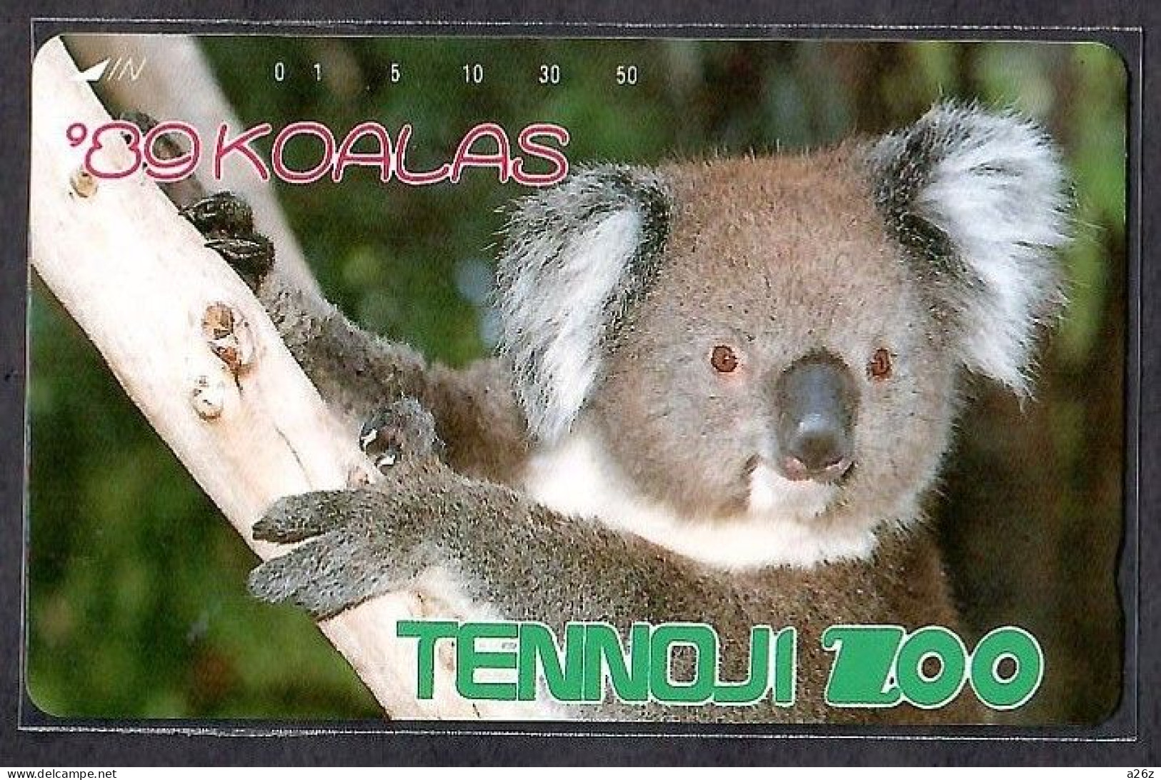 Japan 1V Koala Tennoji Zoo New Mint Card - Jungle