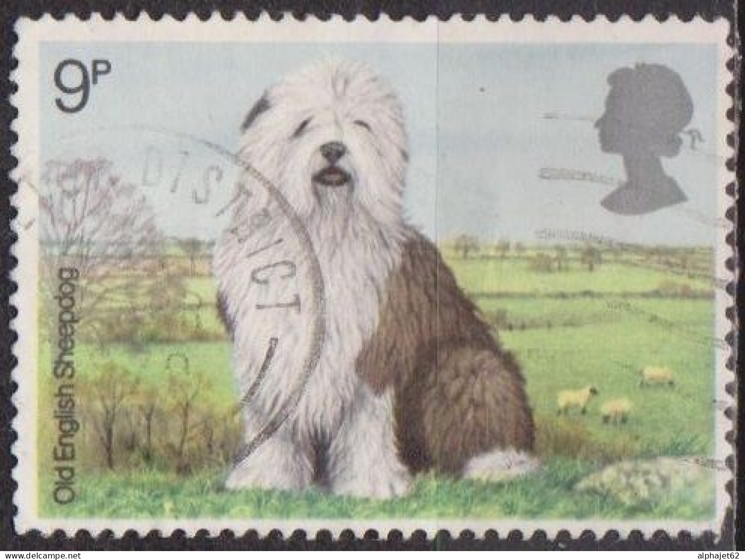 Faune - Animaux - GRANDE BRETAGNE - Chien De Berger - N° 880 - 1979 - Used Stamps