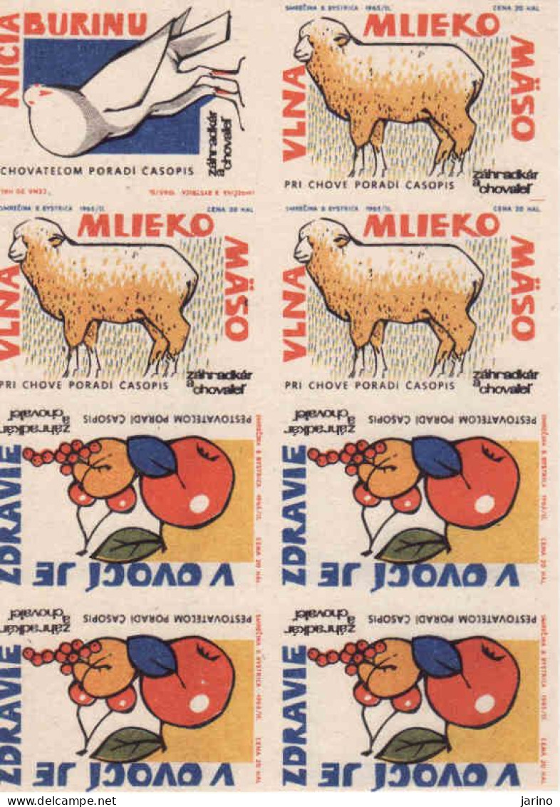 Slovakia - 8 Matchbox Labels - Magazine Gardener And Breeder, Sheep, Pigeon, Apple, Plum, Cherry - Boites D'allumettes - Etiquettes