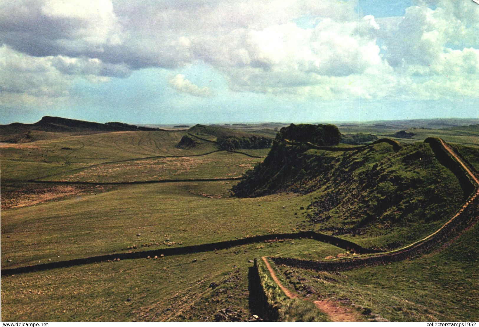 HEXHAM, HADRIAN'S WALL, NORTHUMBERLAND, ENGLAND, UNITED KINGDOM, POSTCARD - Andere & Zonder Classificatie