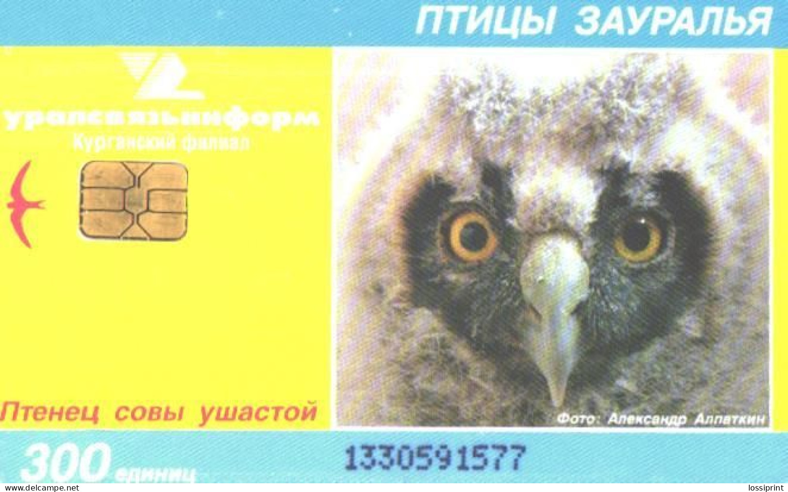 Russia:Used Phonecard, Uralsvjazinform, Kurgan Branch, 300 Units, Ural Birds, Owl - Russia