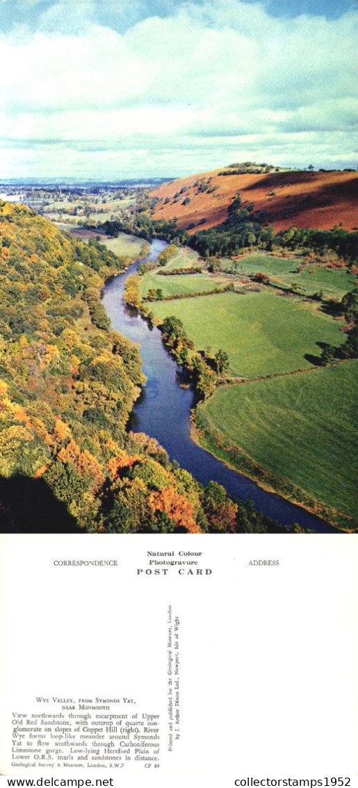 MONMOUTH, SYMONDS YAT, WYE VALLEY, WALES, UNITED KINGDOM, POSTCARD - Monmouthshire