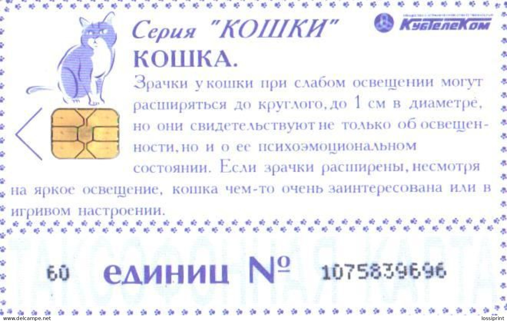 Russia:Used Phonecard, Kubantelekom, 60 Units, Serie Cats - Russia