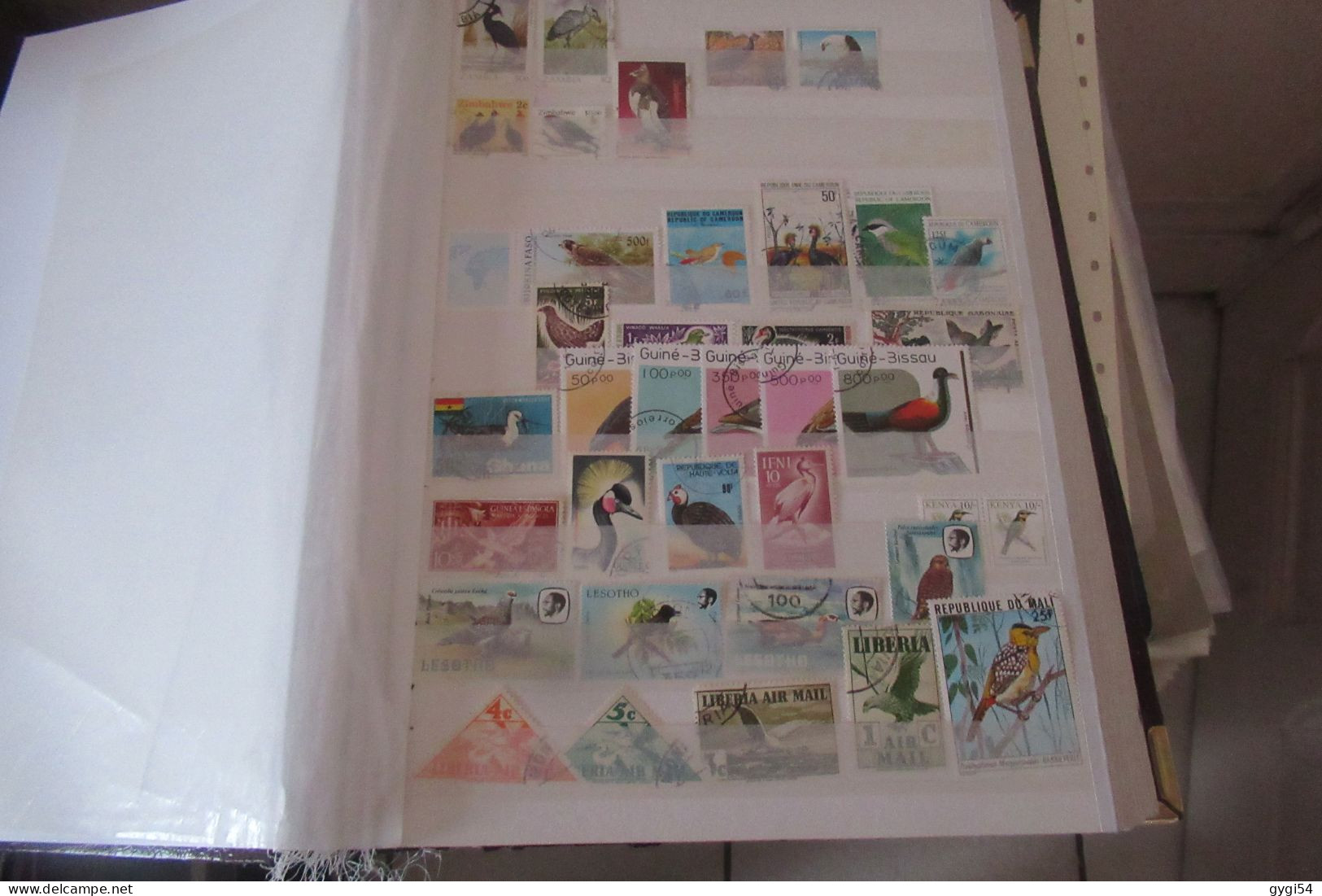 OISEAUX   LOT DE 16 PAGES - Collections, Lots & Series