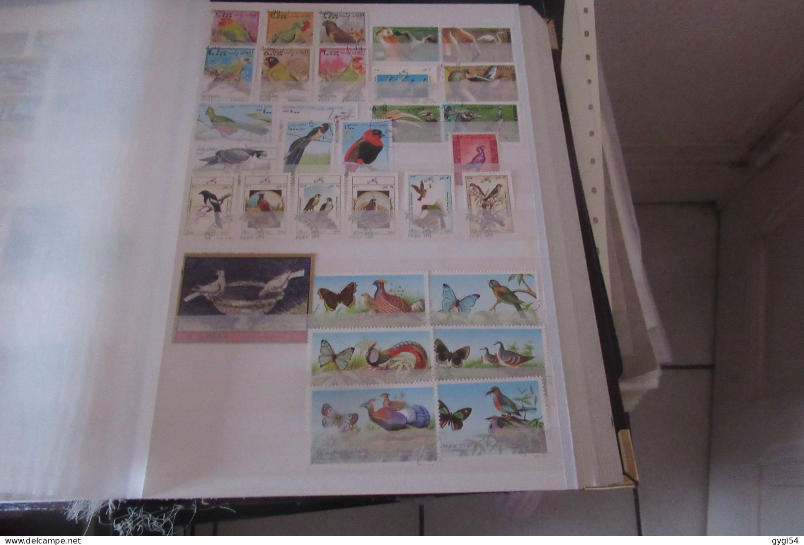 OISEAUX   LOT DE 16 PAGES - Collections, Lots & Séries