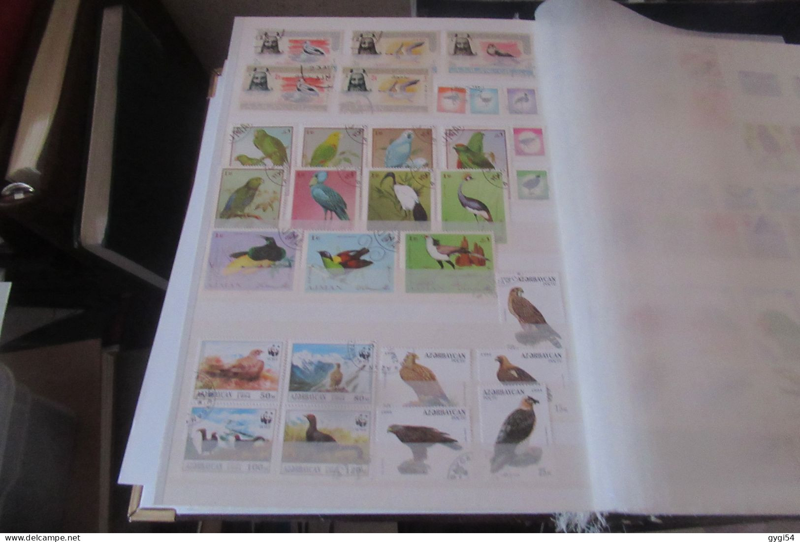 OISEAUX   LOT DE 16 PAGES - Collections, Lots & Series