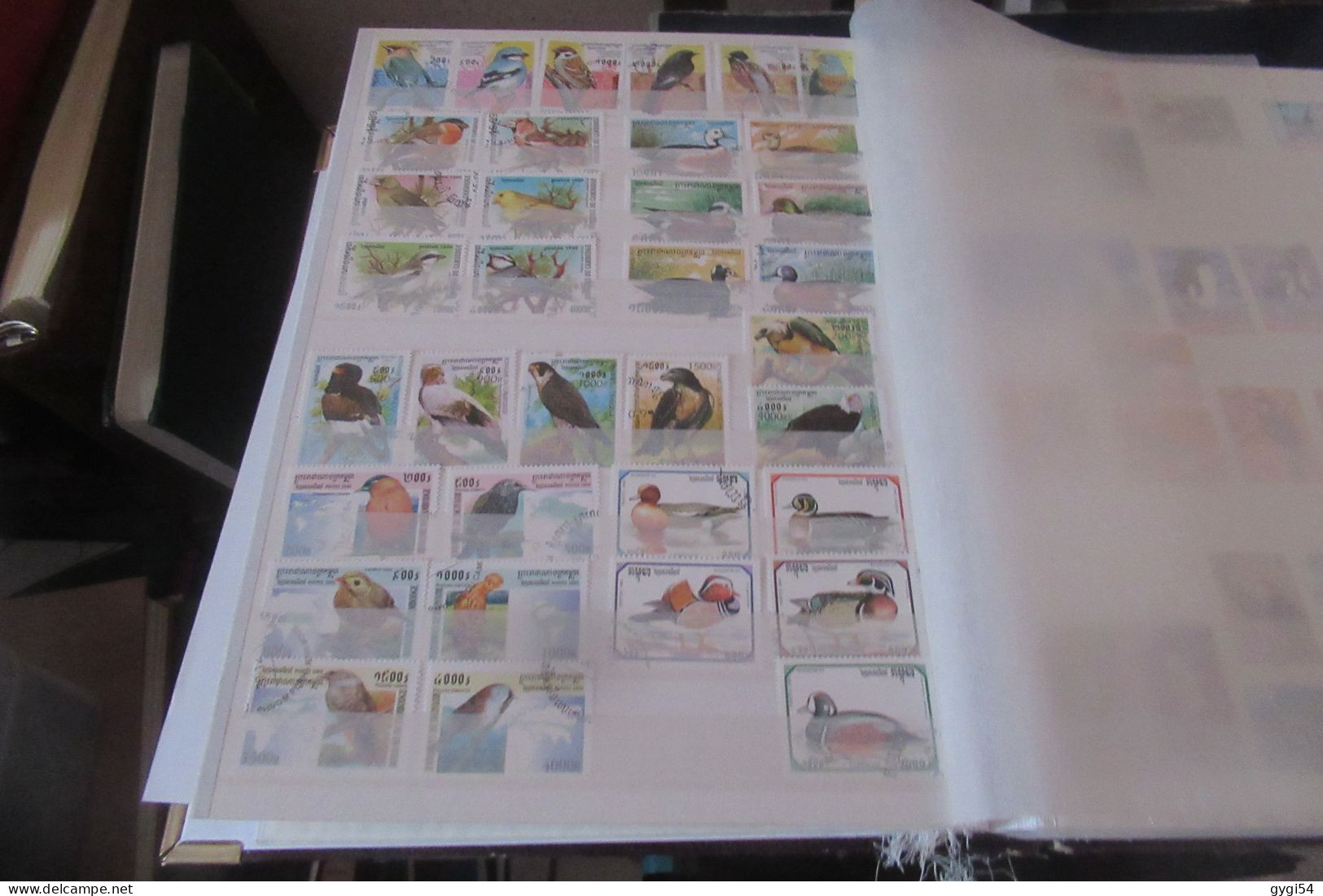 OISEAUX   LOT DE 16 PAGES