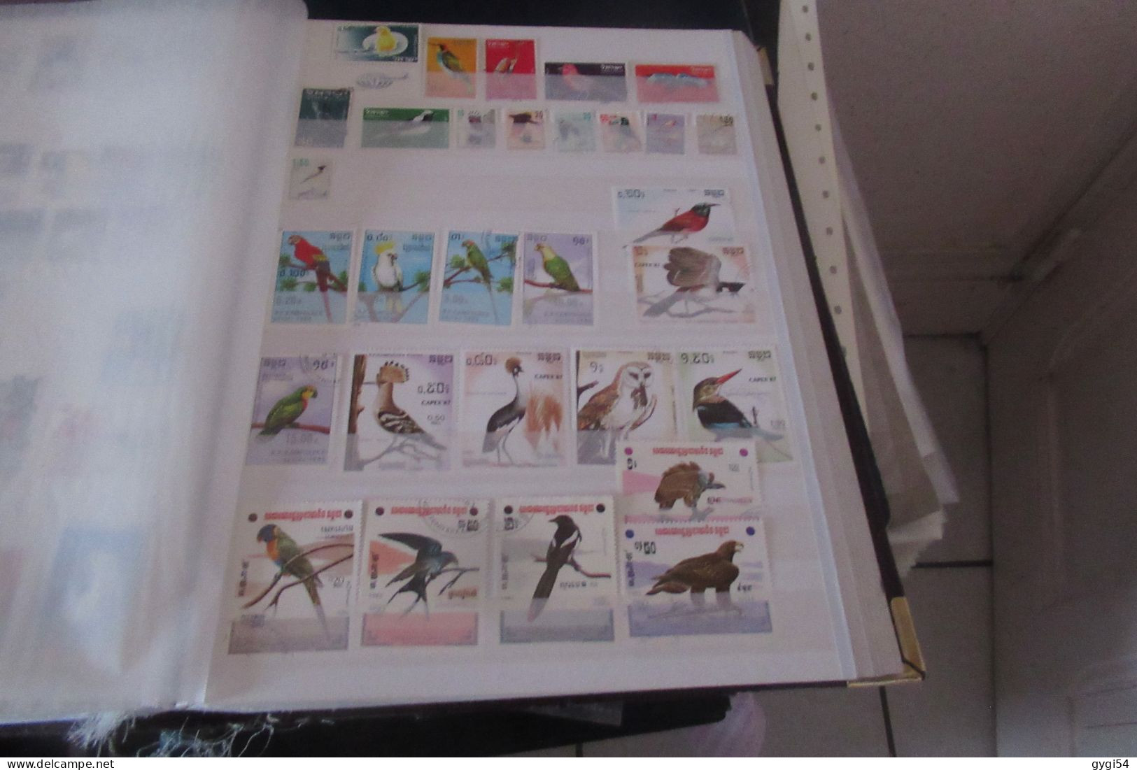 OISEAUX   LOT DE 16 PAGES