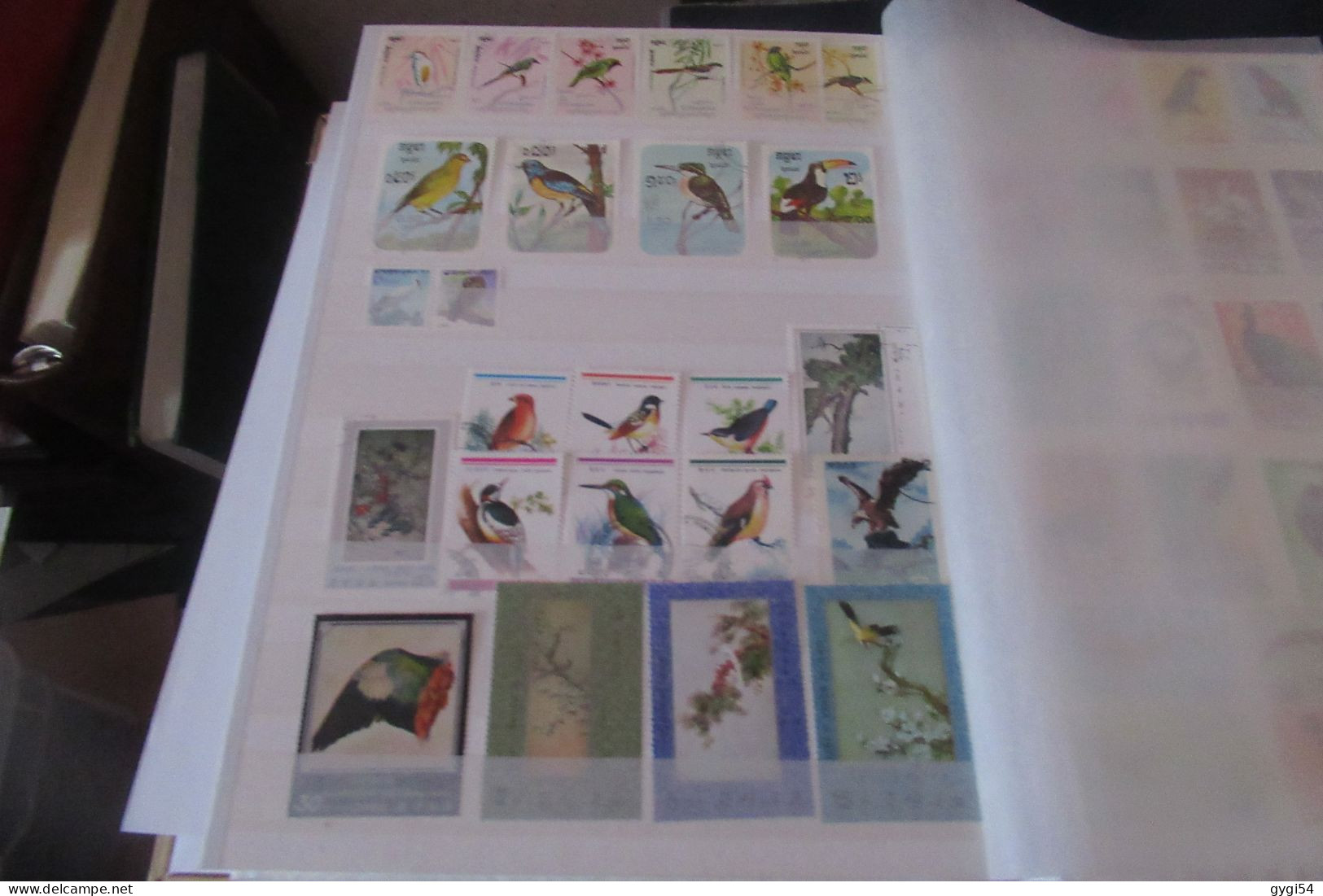 OISEAUX   LOT DE 16 PAGES