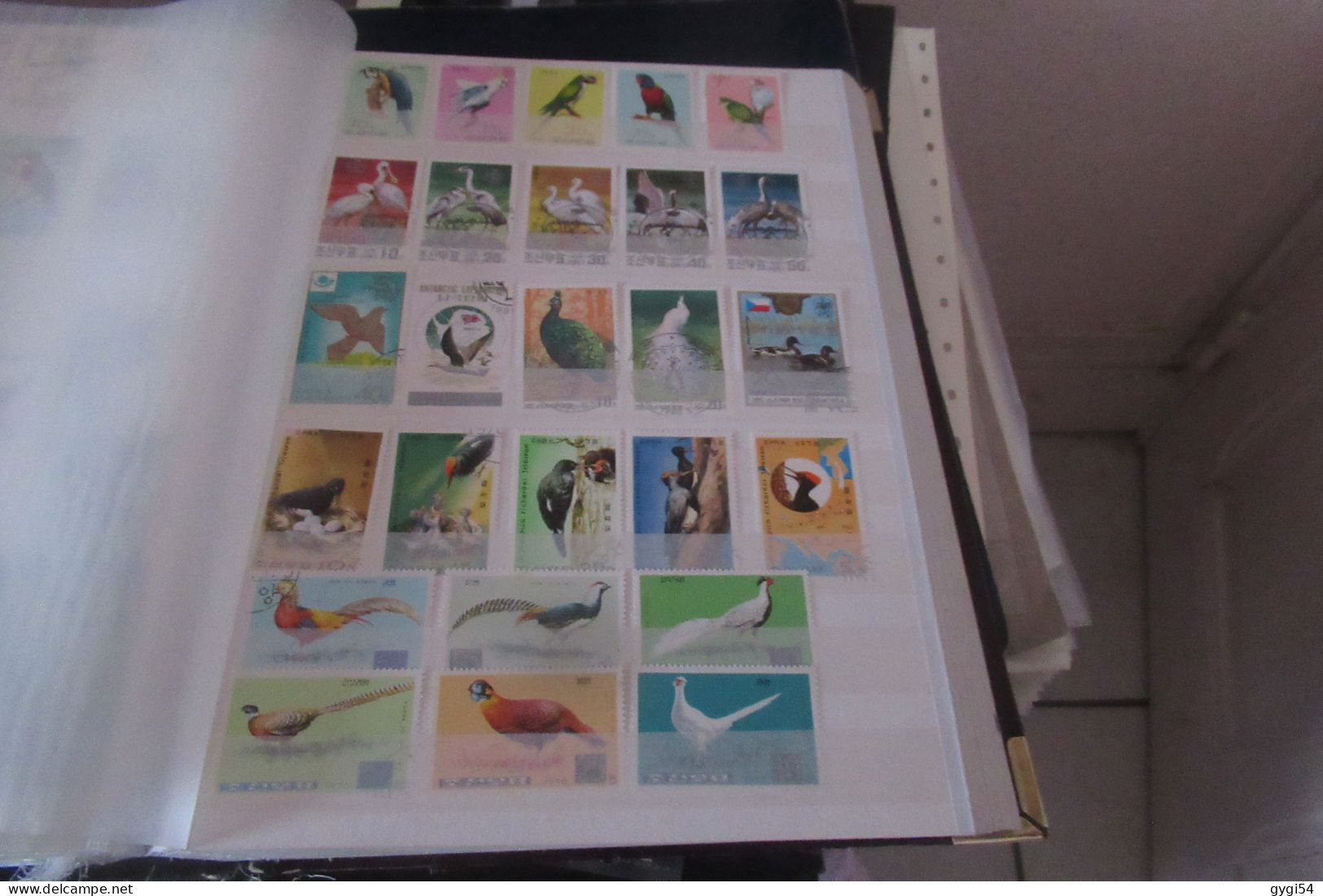 OISEAUX   LOT DE 16 PAGES