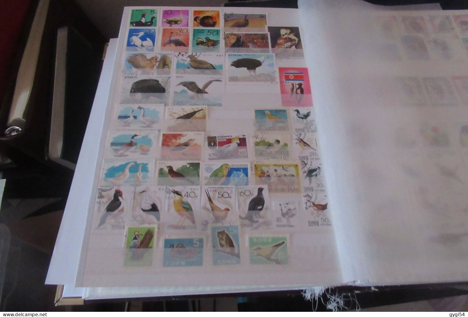 OISEAUX   LOT DE 16 PAGES