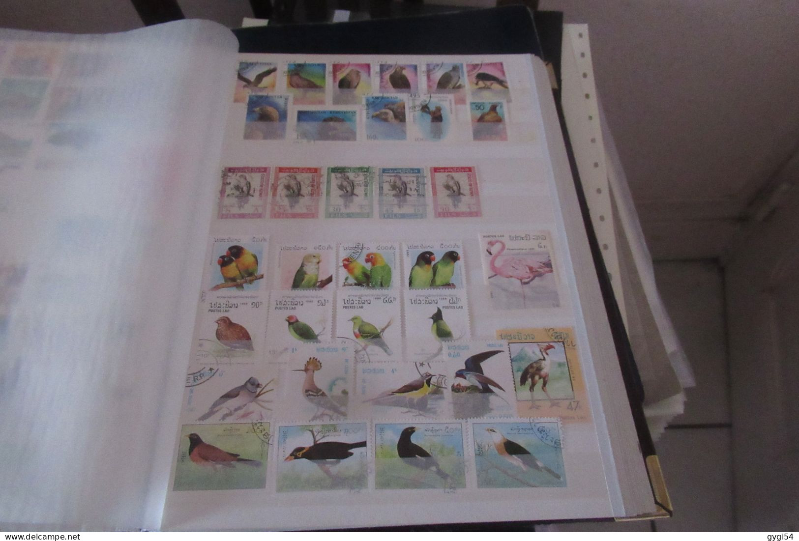 OISEAUX   LOT DE 16 PAGES