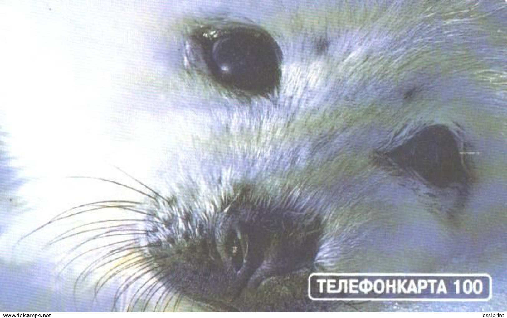 Russia:Used Phonecard, AO Moscow City Phone Network, 100 Units, Eyes, Seal, 2002 - Russia