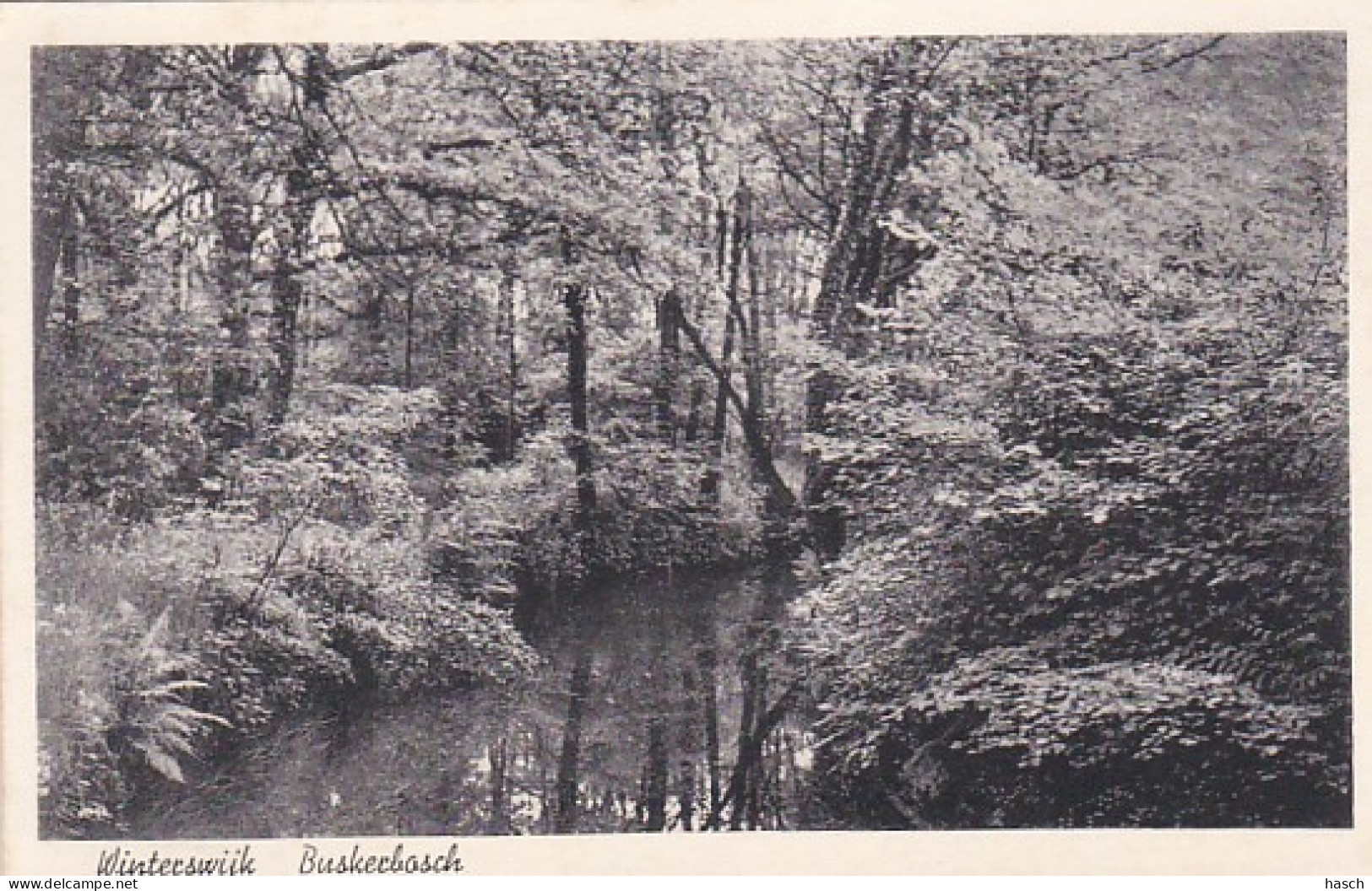 2603752Winterswijk, Buskerbosch. (minuscule Vouwen In De Hoeken) - Winterswijk