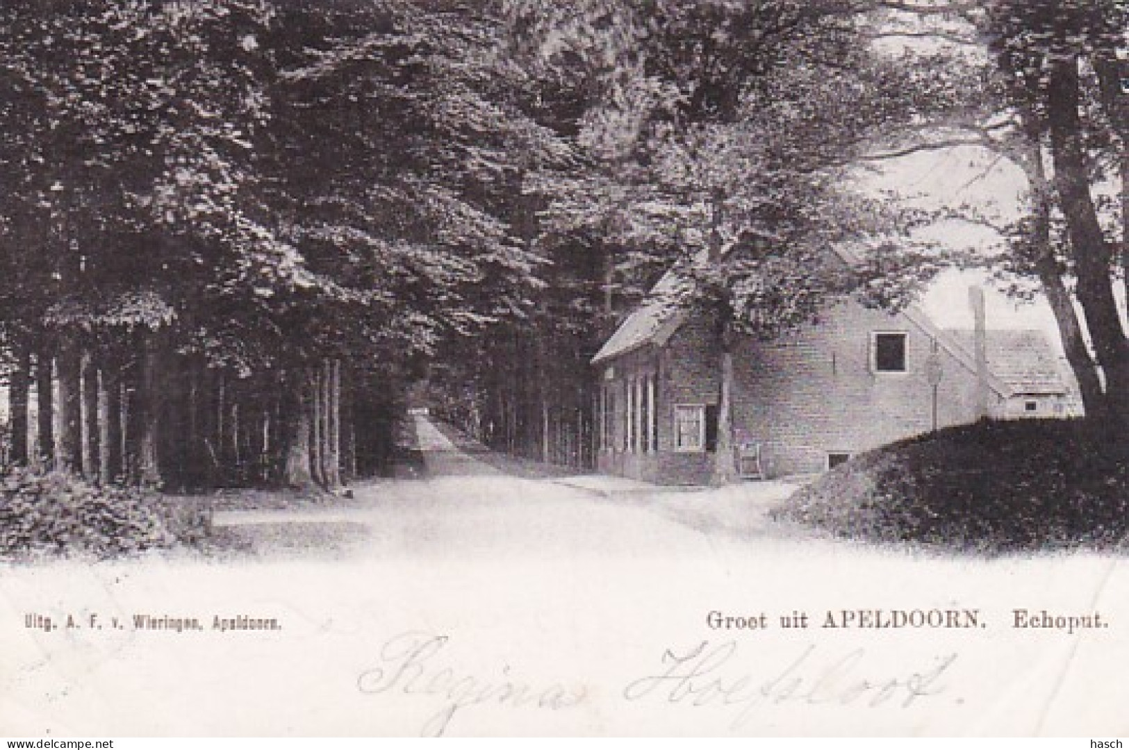 2603825Groet Uit Apeldoorn, Echoput. (poststempel 1902)(rechtsonder Een Vouw) - Apeldoorn