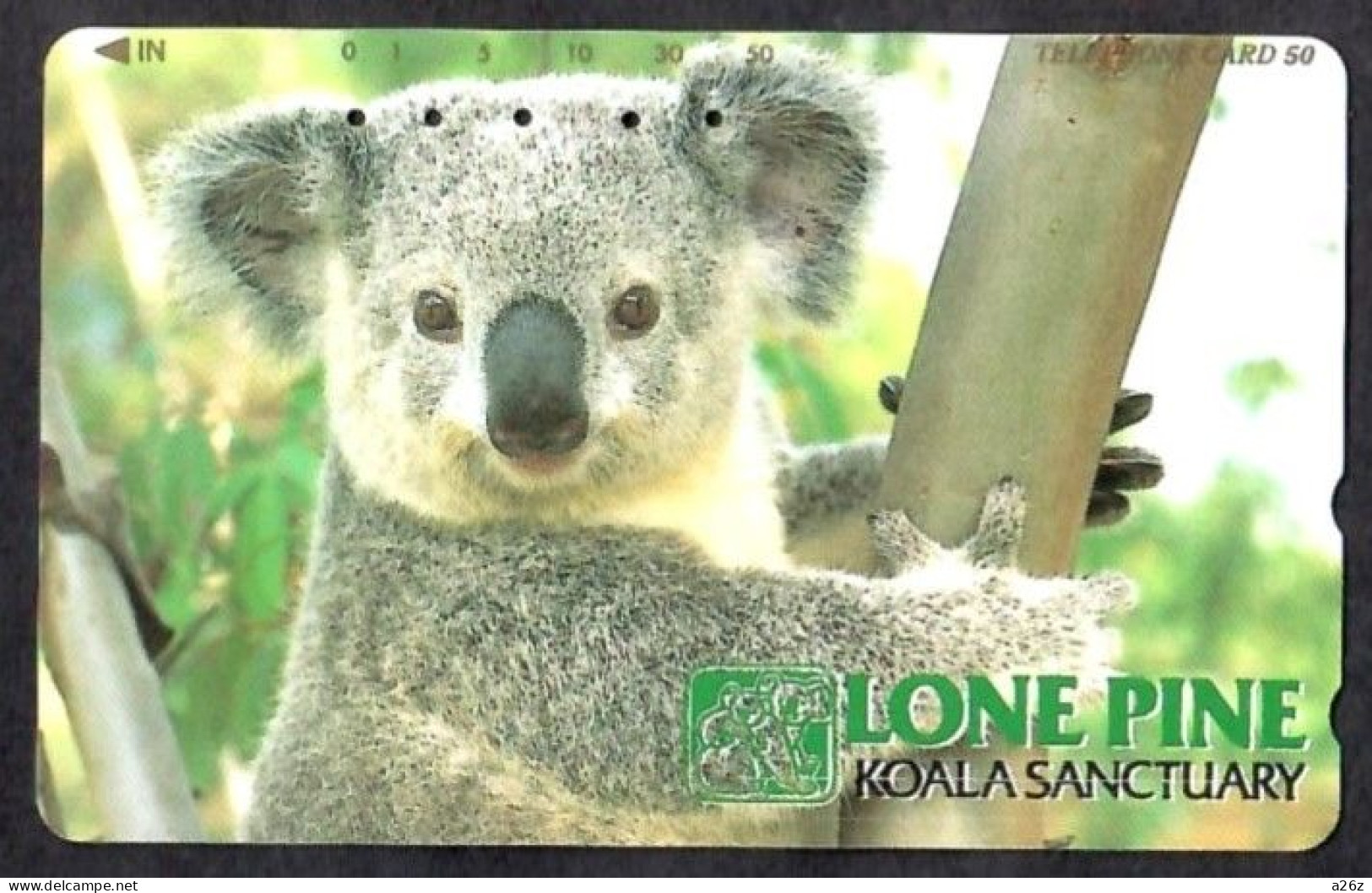 Japan 1V Koala Lone Pine Koala Sanctuary Used Card - Oerwoud