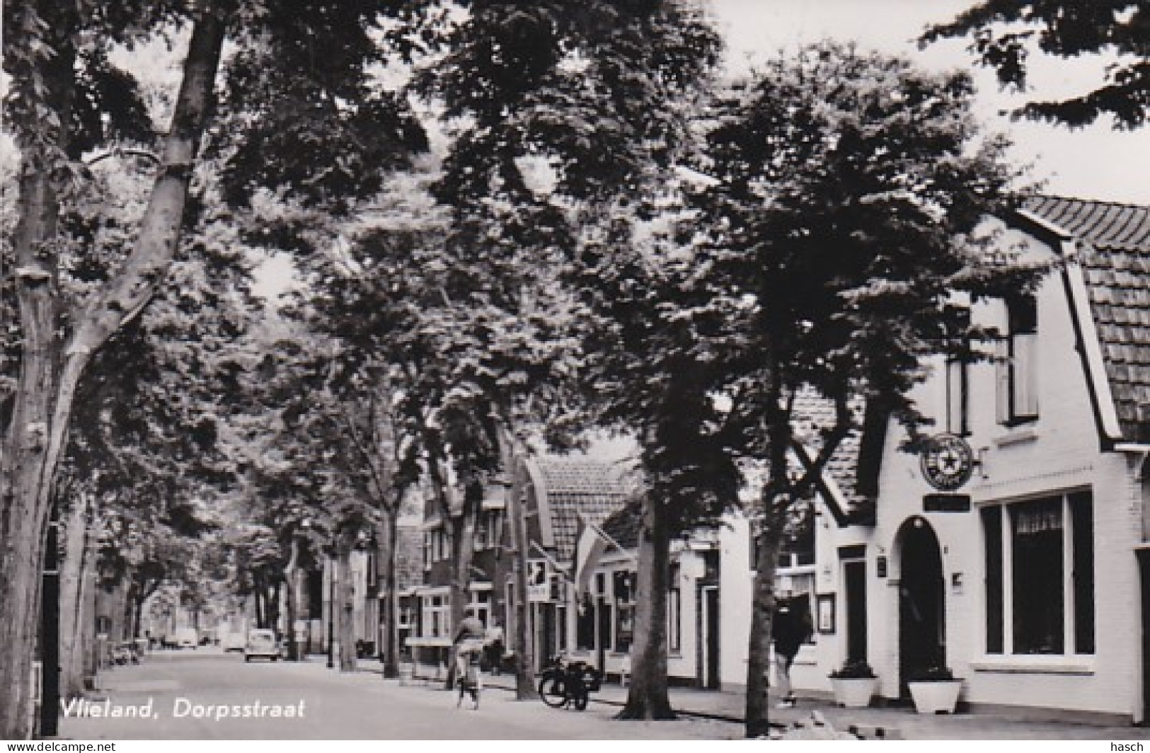 260449Vlieland, Dorpsstraat. (mooie Foto Kaart) - Vlieland