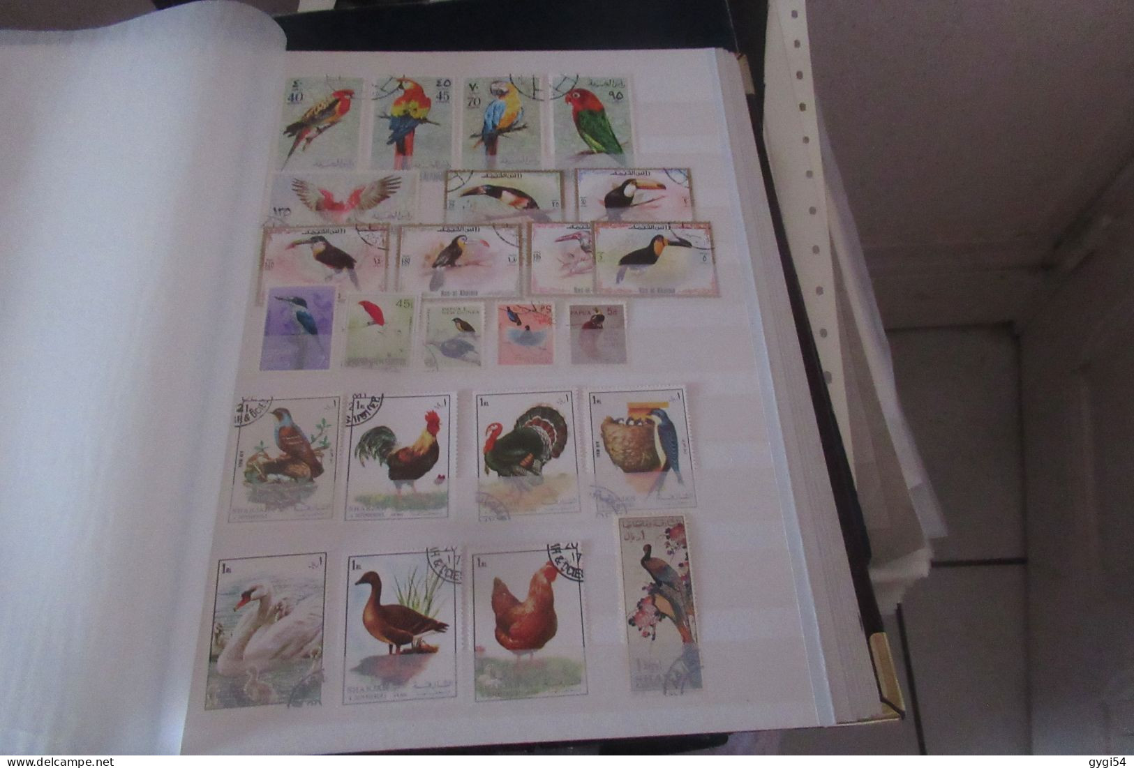 OISEAUX   LOT DE 12 PAGES - Colecciones & Series