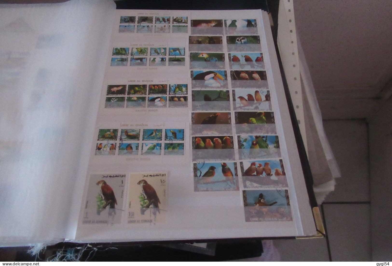 OISEAUX   LOT DE 12 PAGES - Collections, Lots & Series