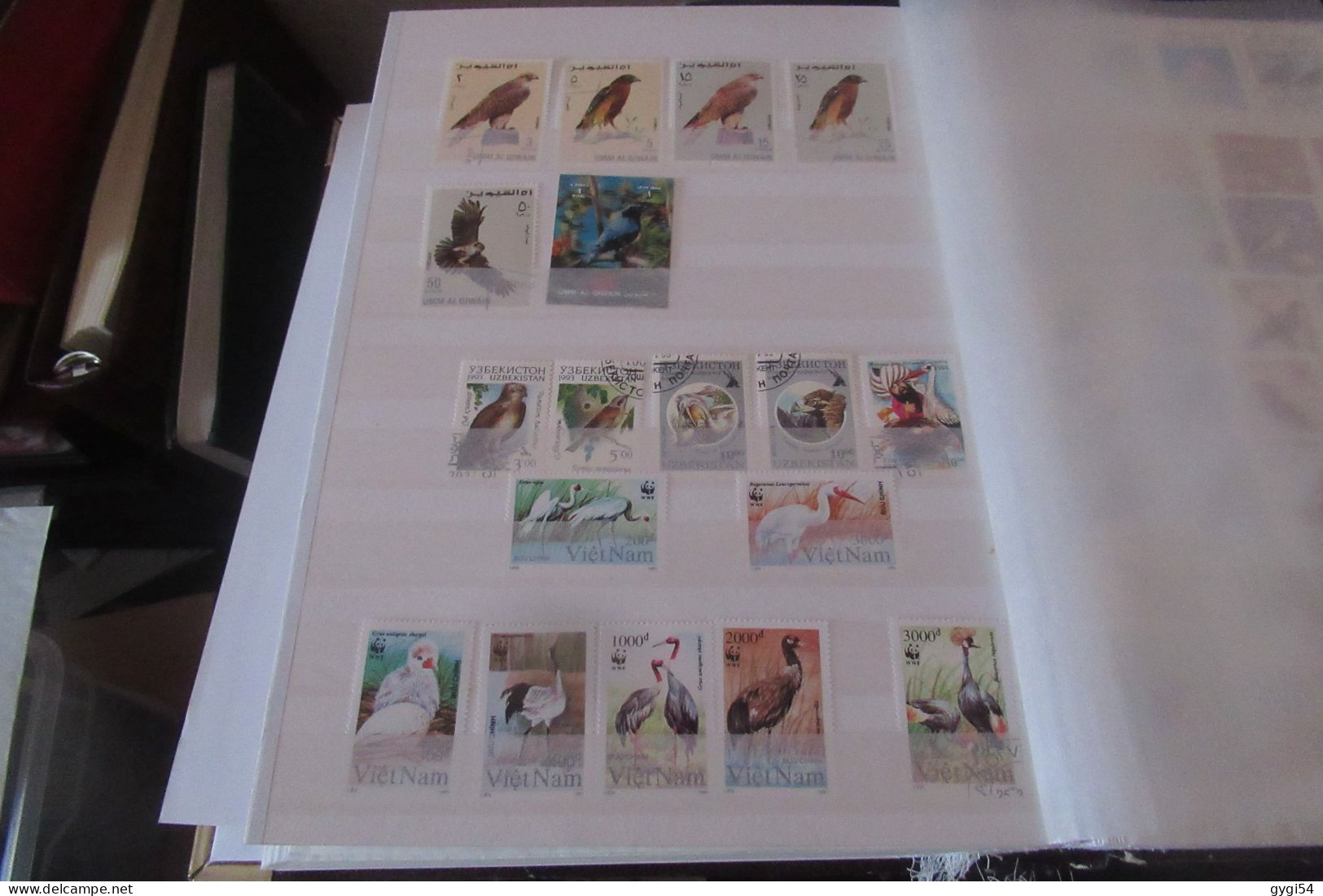 OISEAUX   LOT DE 12 PAGES - Collections, Lots & Séries