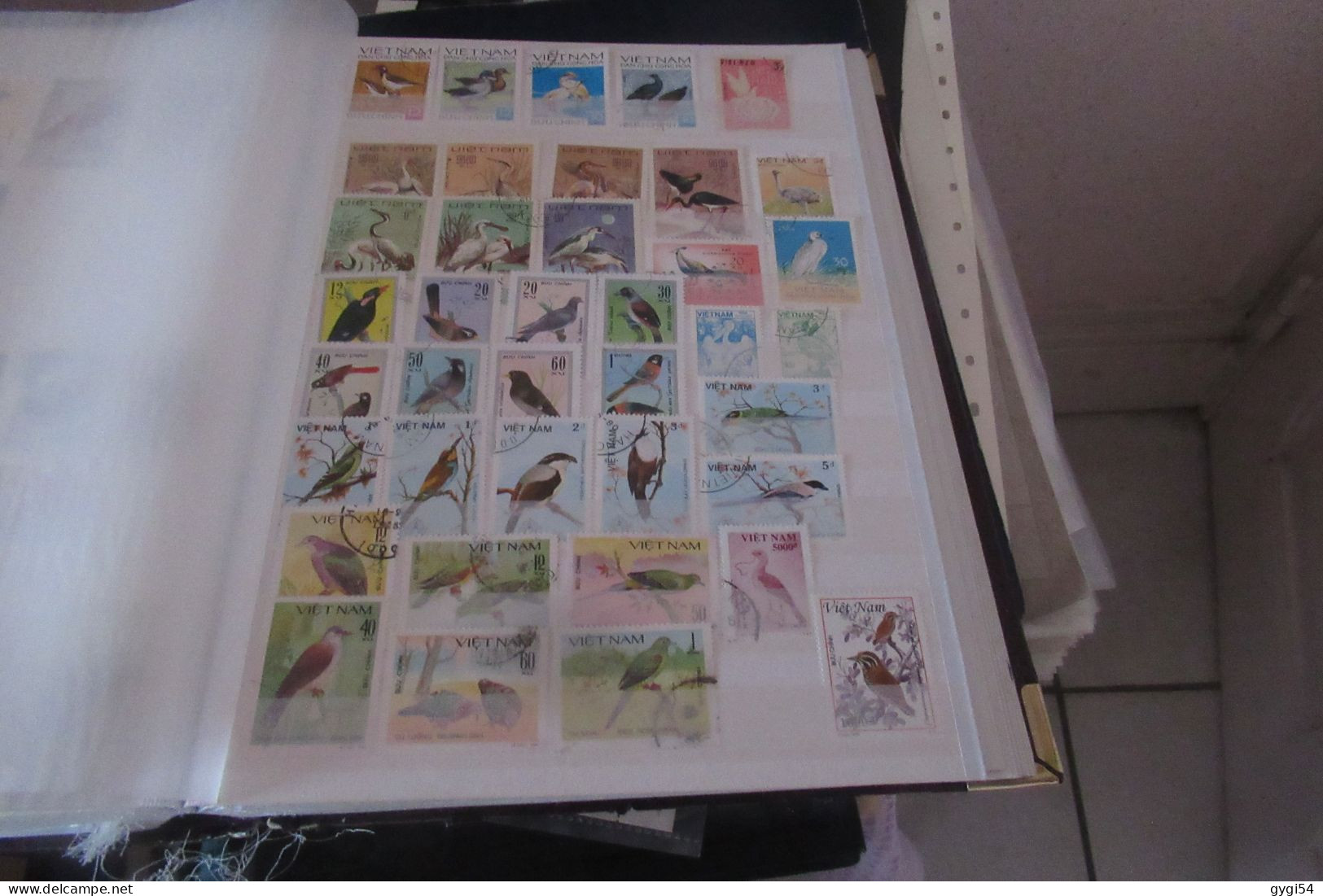 OISEAUX   LOT DE 12 PAGES - Collections, Lots & Series