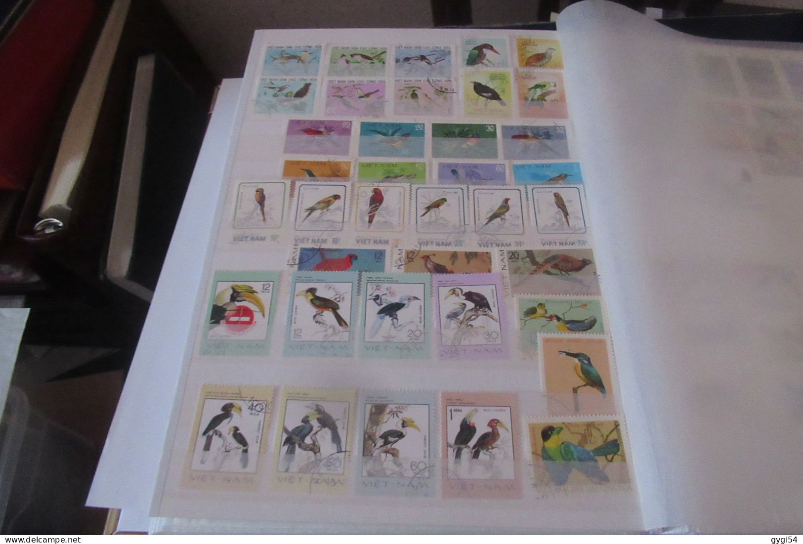 OISEAUX   LOT DE 12 PAGES