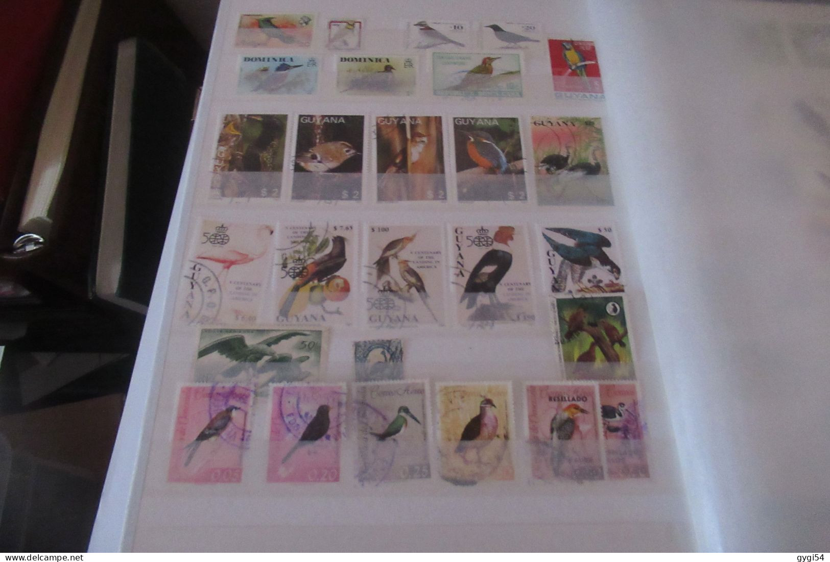 OISEAUX   LOT DE 12 PAGES