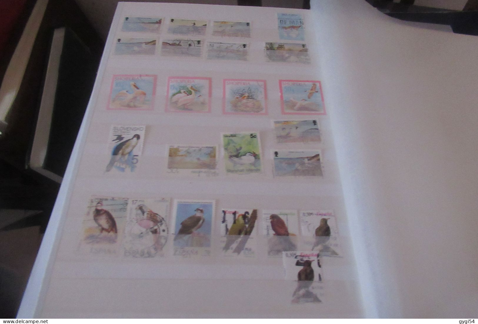 OISEAUX   LOT DE 12 PAGES