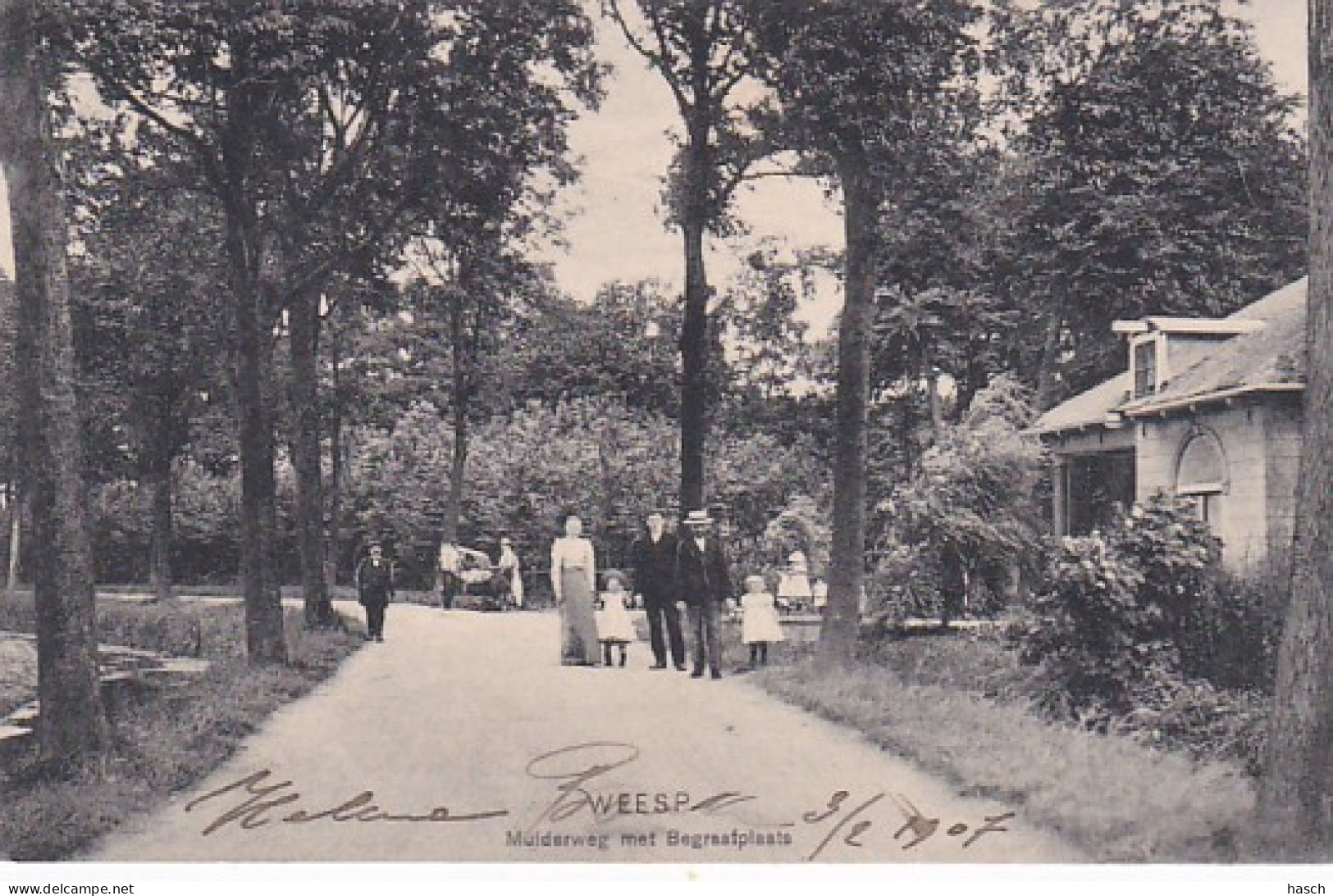 2604177Weesp, Muiderweg Met Begraafplaats. (poststempel 1907) - Weesp