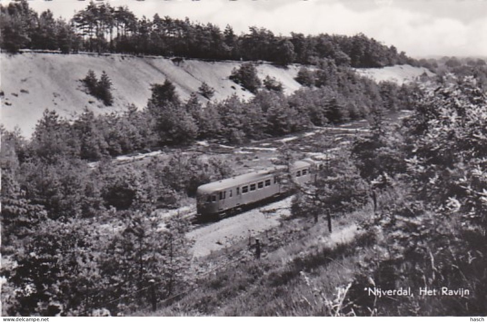 2604229Nijverdal, Het Ravijn. (MOOIE FOTO KAART) - Nijverdal