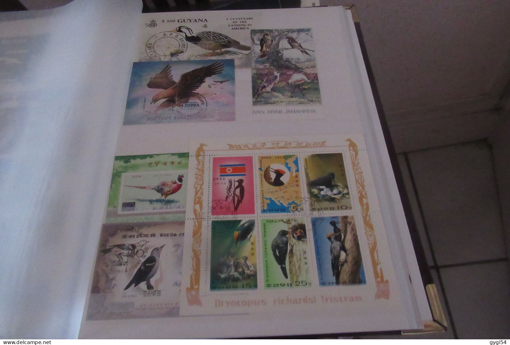 OISEAUX LOT DE  9  PAGES DE BLOCS - Collections, Lots & Series