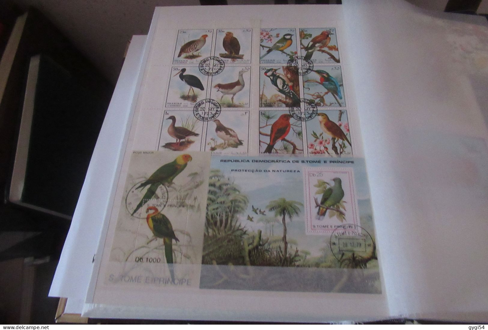 OISEAUX LOT DE  9  PAGES DE BLOCS