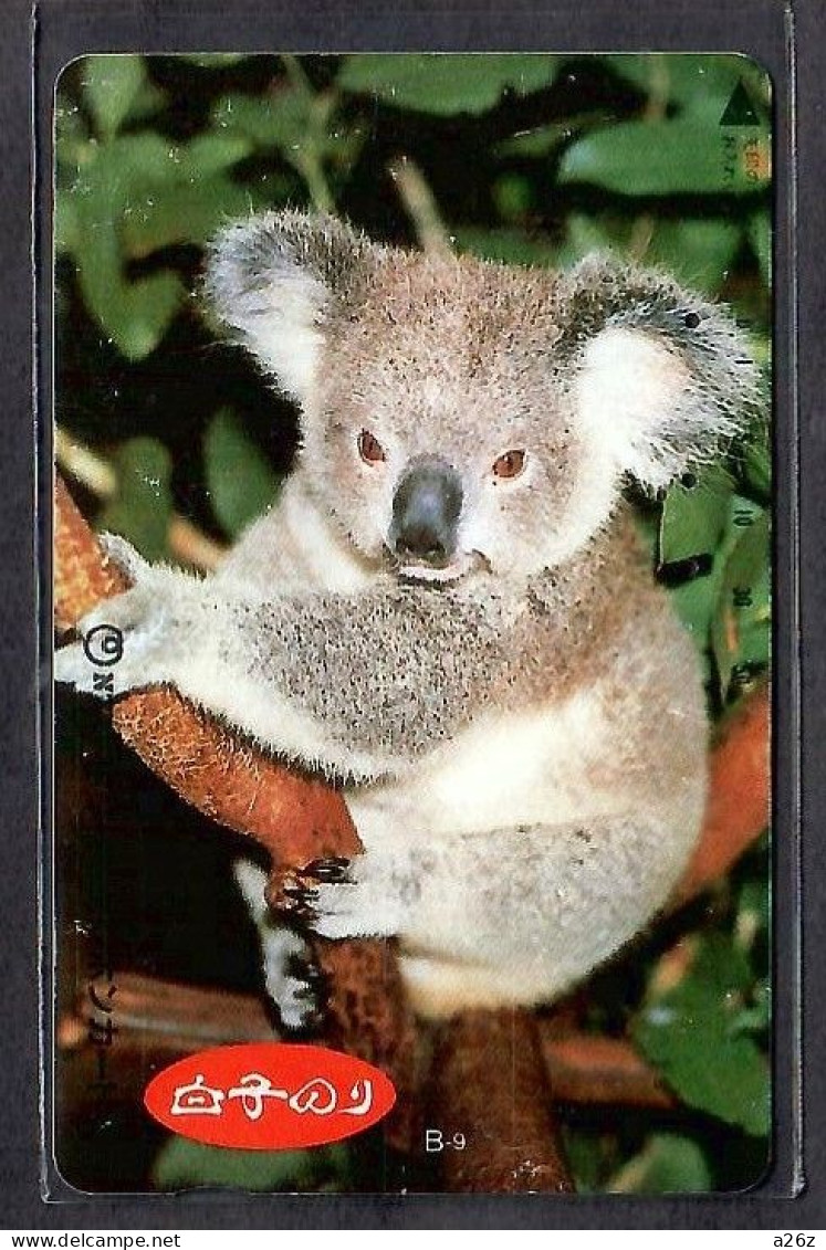 Japan 1V Koala Advertising Used Card - Dschungel