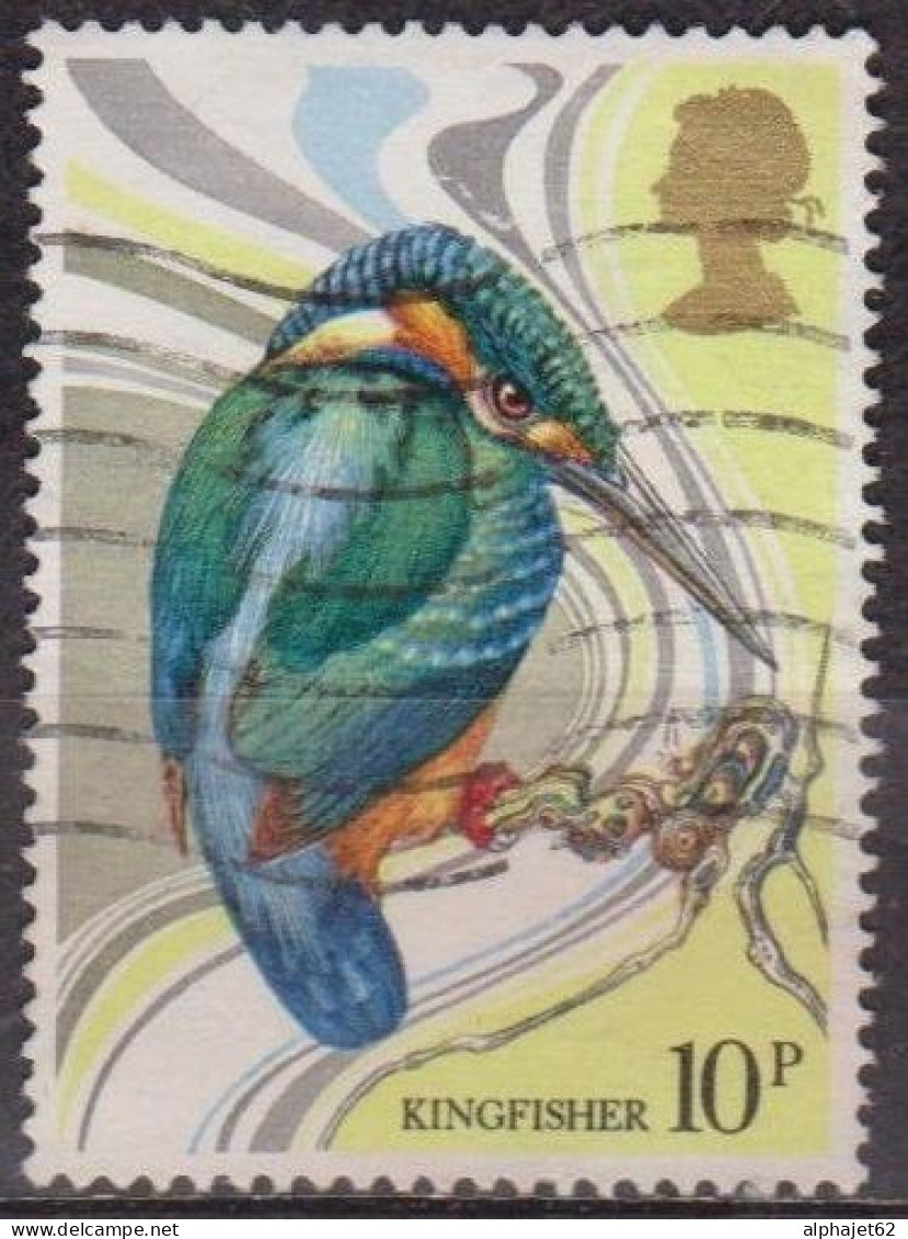 Faune - Oiseau - GRANDE BRETAGNE - Martin Pecheur - N° 922 - 1980 - Usati