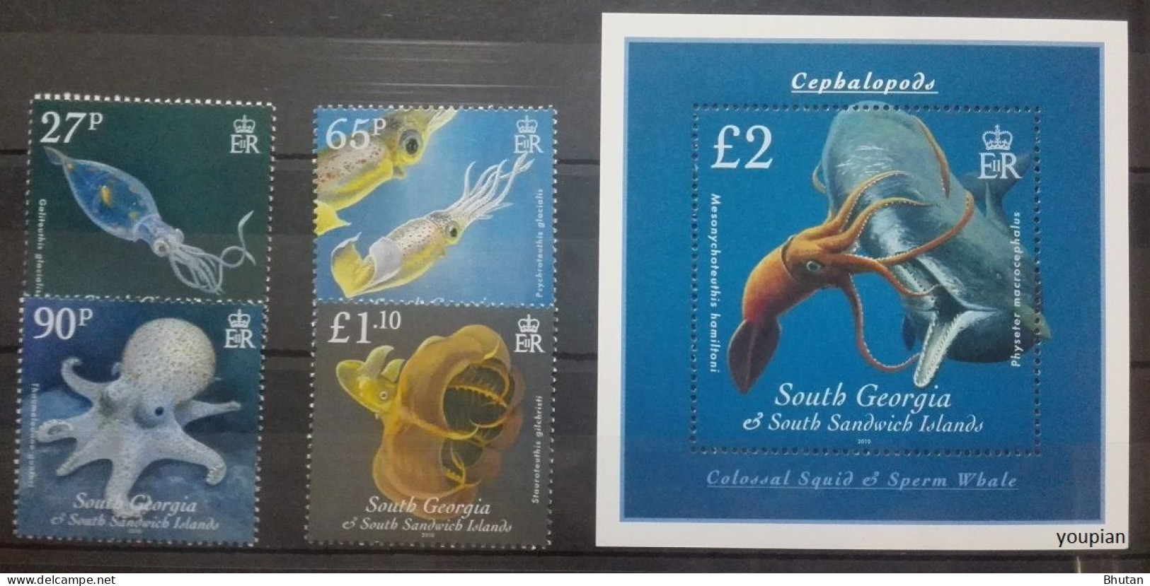 South Georgia And The South Sandwich Islands 2010, Squids - Octopuses, MNH S/S And Stamps Set - Géorgie Du Sud